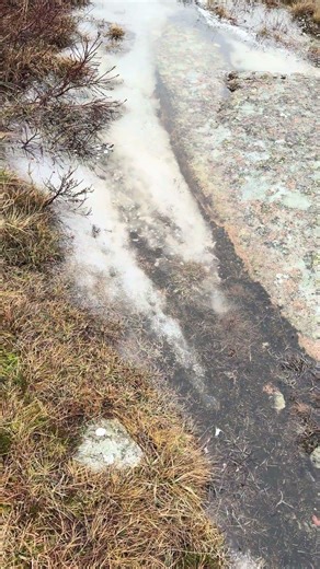 A Quiet 🍀Spring Day 🇸🇪 #nature #stressrelief #sweden