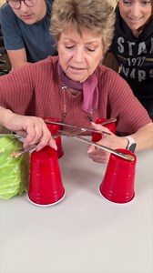 Cabbage Meets the Laws of Physics: Will the Cabbage Stay or Fall