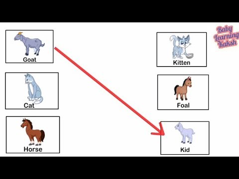 Animals and their Young Ones Matching Worksheet for class 1| Match Farm Animals & their Babies