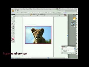 How to add a stroke to a raster in Illustrator