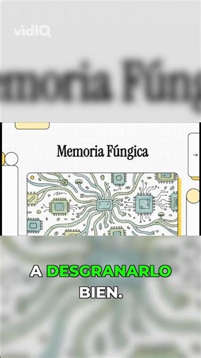 Computadoras con hongos: ¿el futuro es real?