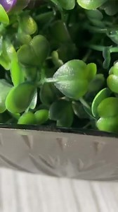 436K views · 4.8K reactions | Dollar Tree DIY: pedestal bowl #dollartreediy #dollartreecrafts #diy #diyhomedecor | The Craftessa | Facebook