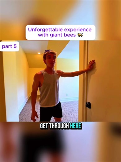 Unforgettable experience with giant bees 🐝 part 5 #giantbee #beeencounter #fyp #usa