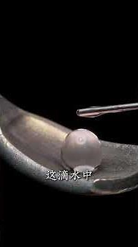 What exactly is the Marangoni effect in fluid mechanics? #SciencePopularization #Physics #Scienti...