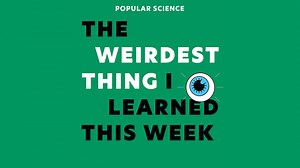Live from New York: 'The Weirdest Thing' podcast (in person!)