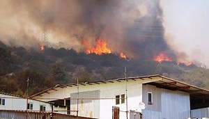 Bodrum'da yangın devam ediyor! Belediye Başkanı'ndan vatandaşlara çağrı