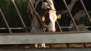 Preserving Pennsylvania farms