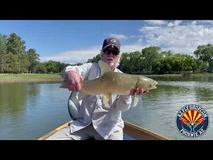 Rainbow Lake With Arizona Fly Fishing Legend John Rohmer