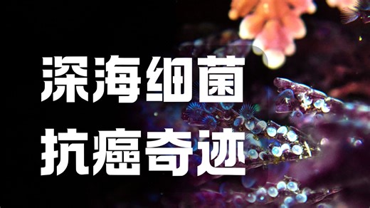 海洋抗癌药 苔藓虫素