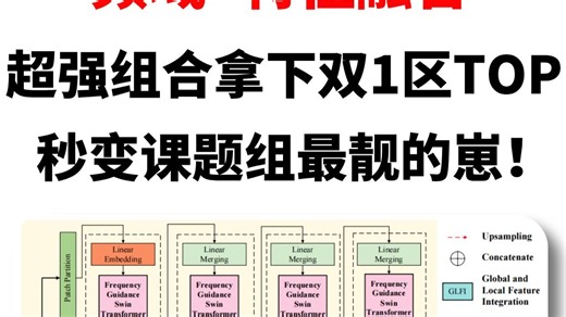 频域 特征融合，超强组合轻松拿下双1区TOP，成为课题组最靓的崽！