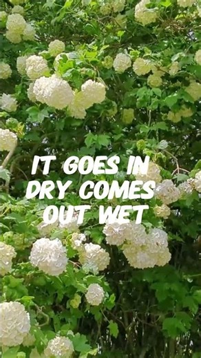 Your Mind is a Liar! (Dirty Mind Test) 🎣