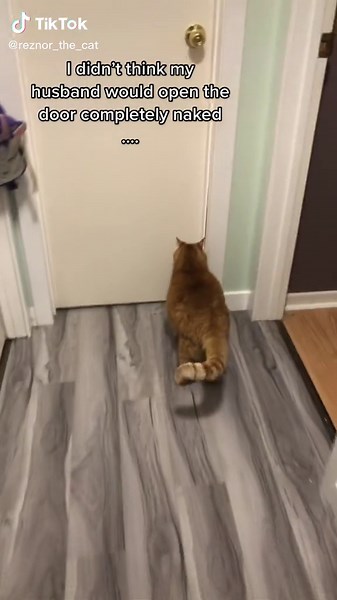 Bathroom Bloopers: Unexpected Naked Encounters
