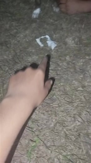 Videos de Alexandra Aguilar 💗🇭🇳 (@alexandraaguilar245) con “sonido original - Lisa Simpson Oficial ✅”