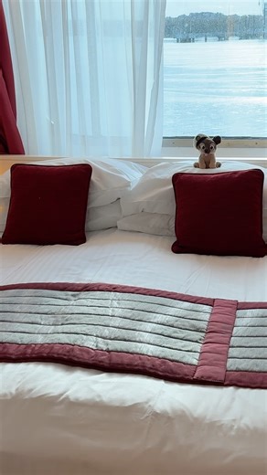 An Ocean View Cabin on Fred Olsen's Balmoral ⚓ Do you like ocean view cabins on cruise ships? On a recent cruise on #fredolsencruiselines Balmoral, I stayed in an ocean view cabin on deck six. This is what to expect 🚢 #cruiseships #cruiseshiplife | David Nikel Travel