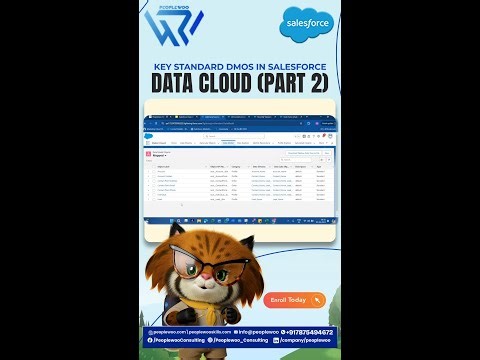 Key Standard DMOs in Salesforce Data Cloud (Part 2).mp4