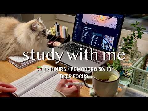 [LIVE] 12 HR • STUDY WITH ME • Pomodoro 50/10 🔥 Fireplace sound