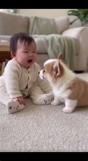 small baby laughing video