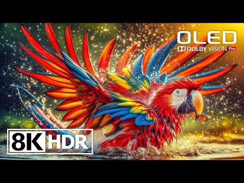 8K HDR Nature Video | Beautiful Landscapes, Birds & Animals in 4K Ultra HD