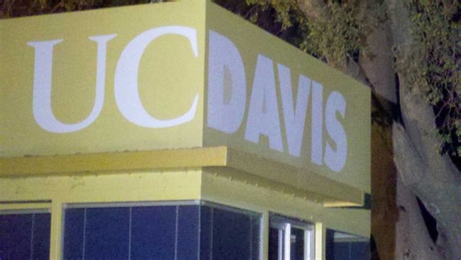Assault reported amid protest of conservative speaker on UC Davis campus, university says