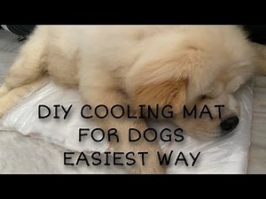 DIY COOLING MAT FOR DOGS (EASIEST WAY)