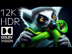 Discover the Planet : 8K UltraHD (120 FPS) Visuals of Nature's Hidden Treasures