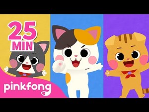 Bébé Chat et Comptines | Baby Shark en français | Pinkfong, Bébé Requin ! Chansons pour Enfants