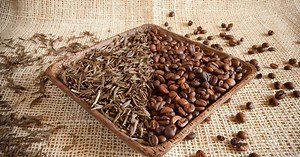 Coffee vs. Tea: Pros, Cons and How to Drink Them Best