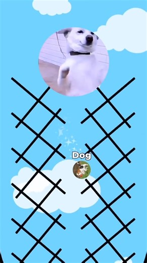 3.8K views · 20 reactions | Who wins this epic marble race game? Guess in comments #marble #satisfyingvideos #oddlysatisfying #marble #marblerace #viral #trending #fyp #foryou #race #game #whowillwin #usareels | Marble Race Videos | Facebook