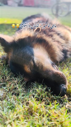 Mine❤️😂😂🫶🏻📸