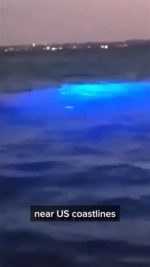 44K views · 1.4K reactions | 9,000 USO sighted along US coast | ParanormalWarehouse.com | Facebook