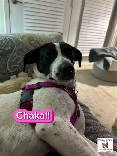 November 7 Sleepover Weekend