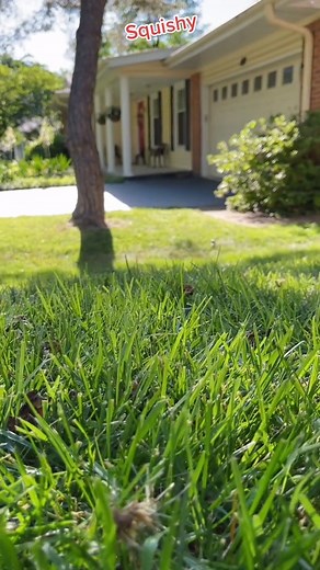 Me, gobbling down my lunch between back-to-back Zoom meetings 🐿 [chipmunksoftiktok on TikTok // chipmunksoftiktok on IG] | Mic