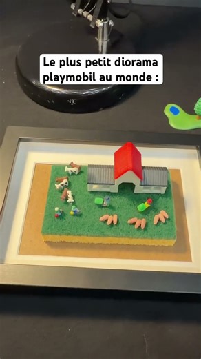 The world's smallest Playmobil diorama #diorama #record #tip #playmobil