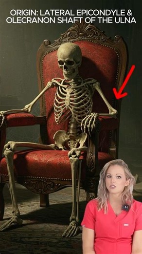 The extensor carpi ulnaris: muscle of the day