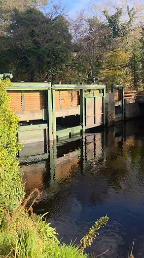 Bad news for smolts and kelts Hydro gates in sion mills are functioning again We all no from past the damage occurs Also the greed for ££ in prime season that causes an abustruction for migrating salmon | Foyle Tributaries