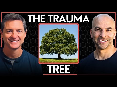 The trauma tree: four types of trauma & the five ways they manifest | Jeff English