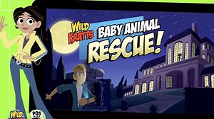 Wild Kratts - Baby Animal Rescue: Game Trailer Video | PBS KIDS