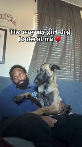 Princess Arya Fundraiser for community. We are calling our new chapter “divas on tour”. As we continue to build this community and travel. Provide resources to local shelters, rescues and the community. We’d love your help. You can donate through PayPal: ggpitbull002@gmail.com, Venmo: sweetiegigi , GoFundMe and even Zelle: aaronmichaellouis@gmail.com. Found all on our Linktree #malinois #malinoislovers | Aaron Michael Louis