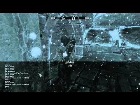 Skyrim How to level up your Companion / Follower on PC - Guide tip hint how to