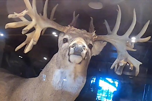 Missouri Monarch Buck Still Reigns Supreme as Largest Buck to Ever Live