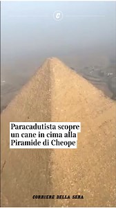 Un uomo che sorvolava la Piramide di Cheope in Egitto con un parapendio a motore ha notato qualcosa di inaspettato in cima al monumento: un cane. L'uomo dice che l’animale stava abbaiando agli uccelli. Vale la pena ricordare che la piramide è alta circa 140 metri, quindi il cane ha dovuto fare una lunga camminata per arrivare fin lassù. 👉 Video disponibile anche sul sito del Corriere #cane #piramide #cheope | Corriere della Sera