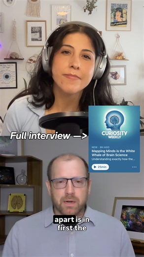 It's the white whale of neuroscience - completely mapping the brain and its activity. Forrest Collman sat down with Science.Sam from the Discovery Curiosity Weekly podcast and shared how we are approaching this so-called "impossible" task and the role YouTube videos played in creating the most complete functional map of a mammalian brain yet. #OpenScienceWeek | Allen Institute