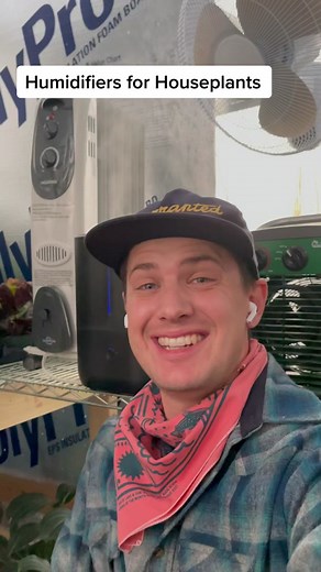 Best Humidifiers for Houseplants: Improve Plant Health with Indoor Plant Humidifiers