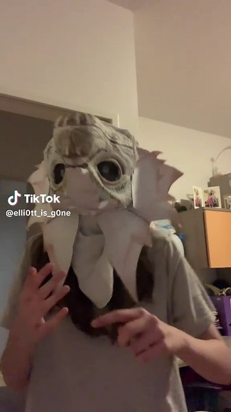 Dino Mask Mistake: Wearing it Upside Down!