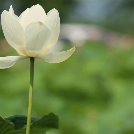 Agreeable Gray: Sherwin Williams | Home Paint Color Palette Guide (digital Download)   Full Palette Library Access - Etsy Canada