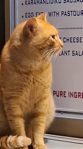 #griechenland #chalkidiki #sarrti #oekohotel #sithonia_greece