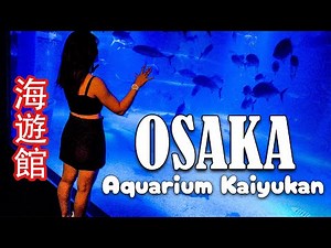 Osaka Aquarium Kaiyukan Tour in Japan 🇯🇵 An Enchanting Ocean Adventure!