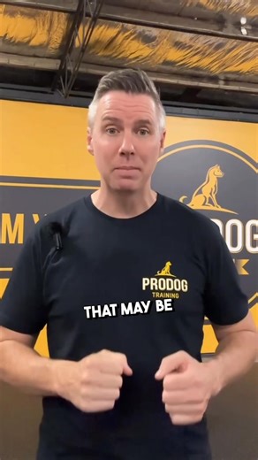 3.3K views · 39 reactions | HOW TO BREAK UP A DOG FIGHT  THIS IS...