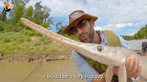 21K views · 133 reactions | Coyote and the Gar Guys are in search for a MONSTER gar! | Brave Wilderness | Facebook