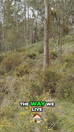 Reconnecting: Why It Matters and How To Live It This process of becoming connected again, it's very important to communicate the importance of it and the capacity to start doing it all the time through the way we live. Watch the full video on www.filmsforchange.stream/catalog | Films For Change | Facebook